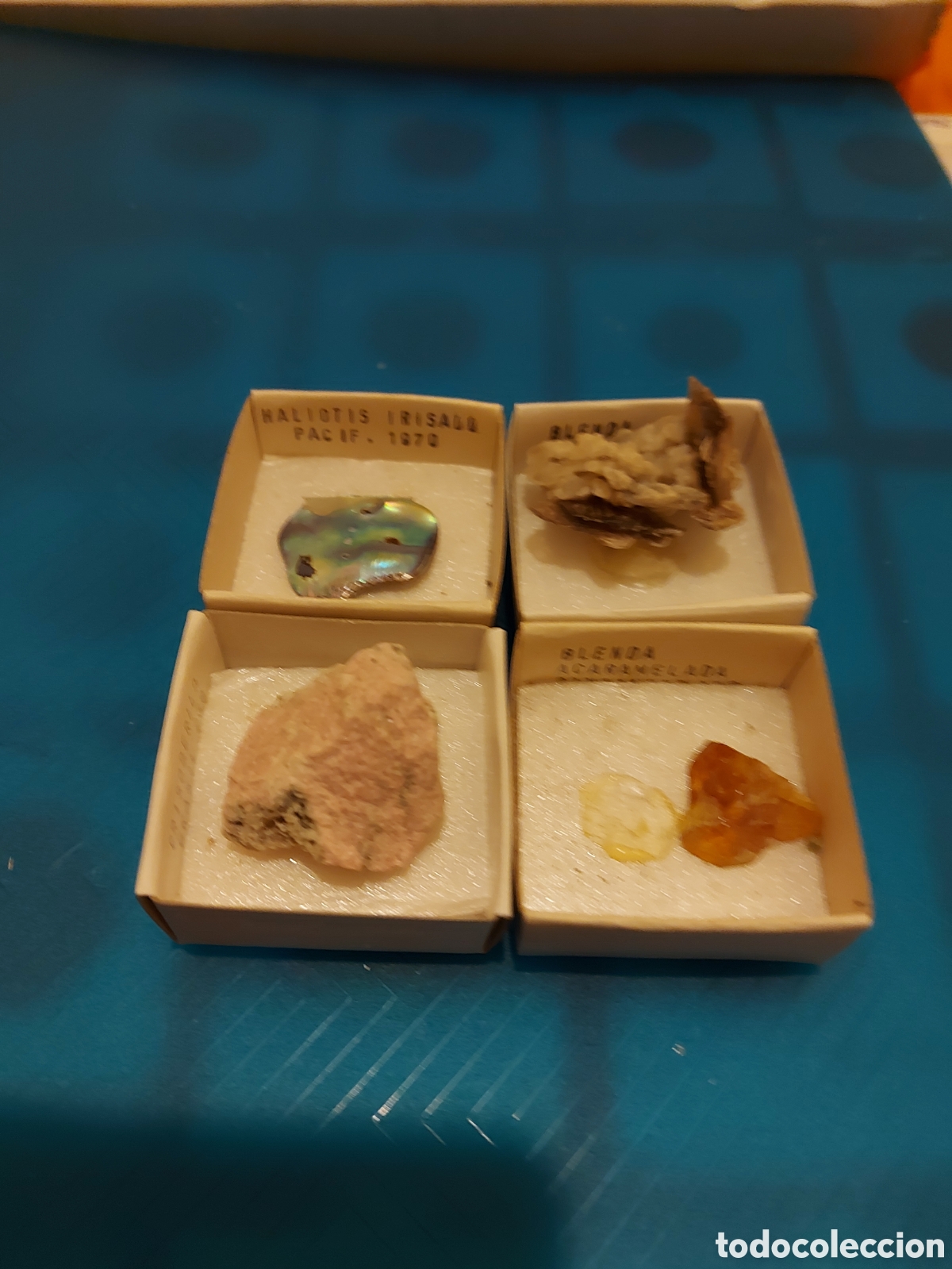 Coleccionismo de minerales: 1Halioptis y3mas - Foto 1