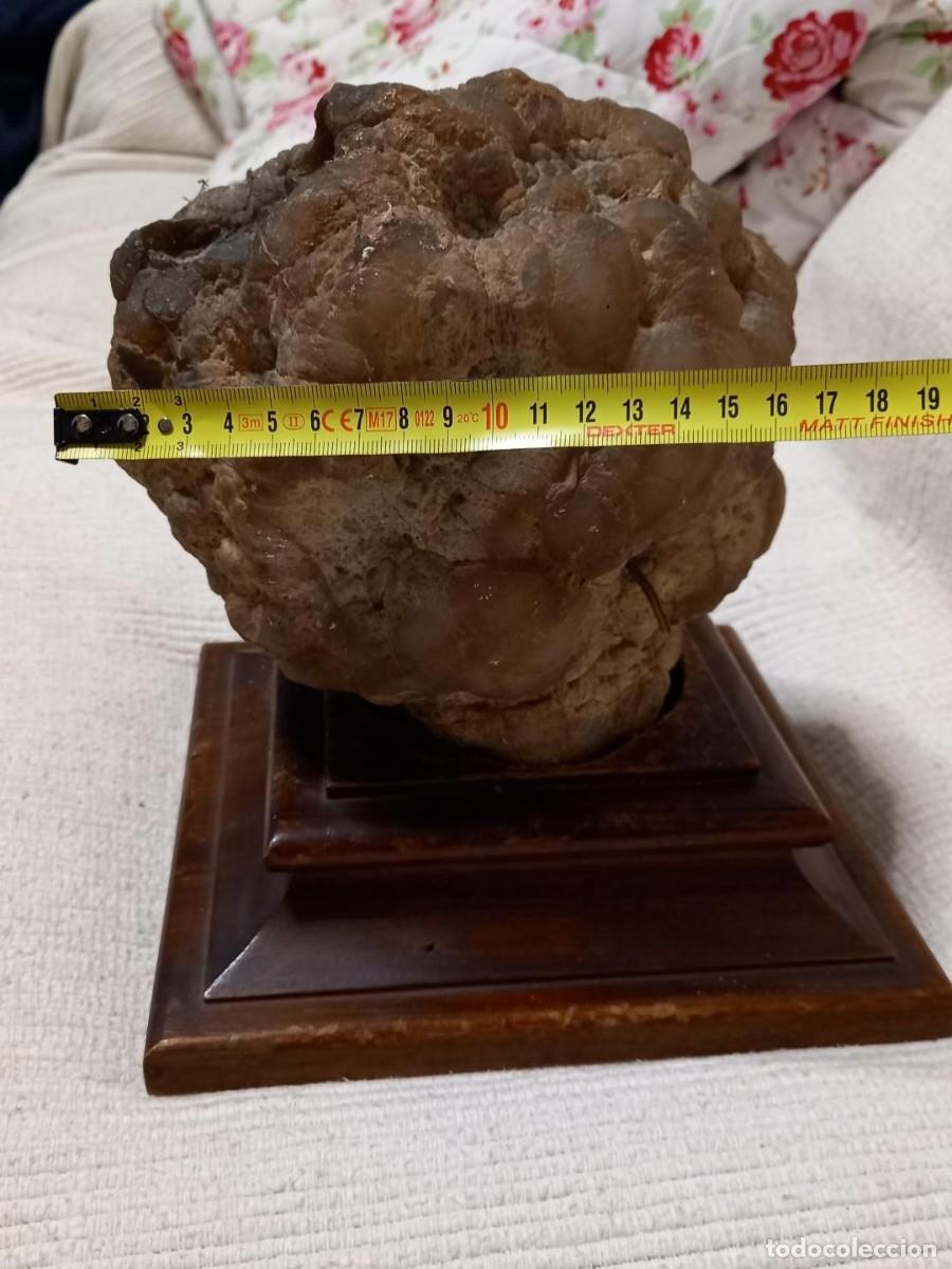 Coleccionismo de minerales: Geoda hueca excepcional - Foto 6