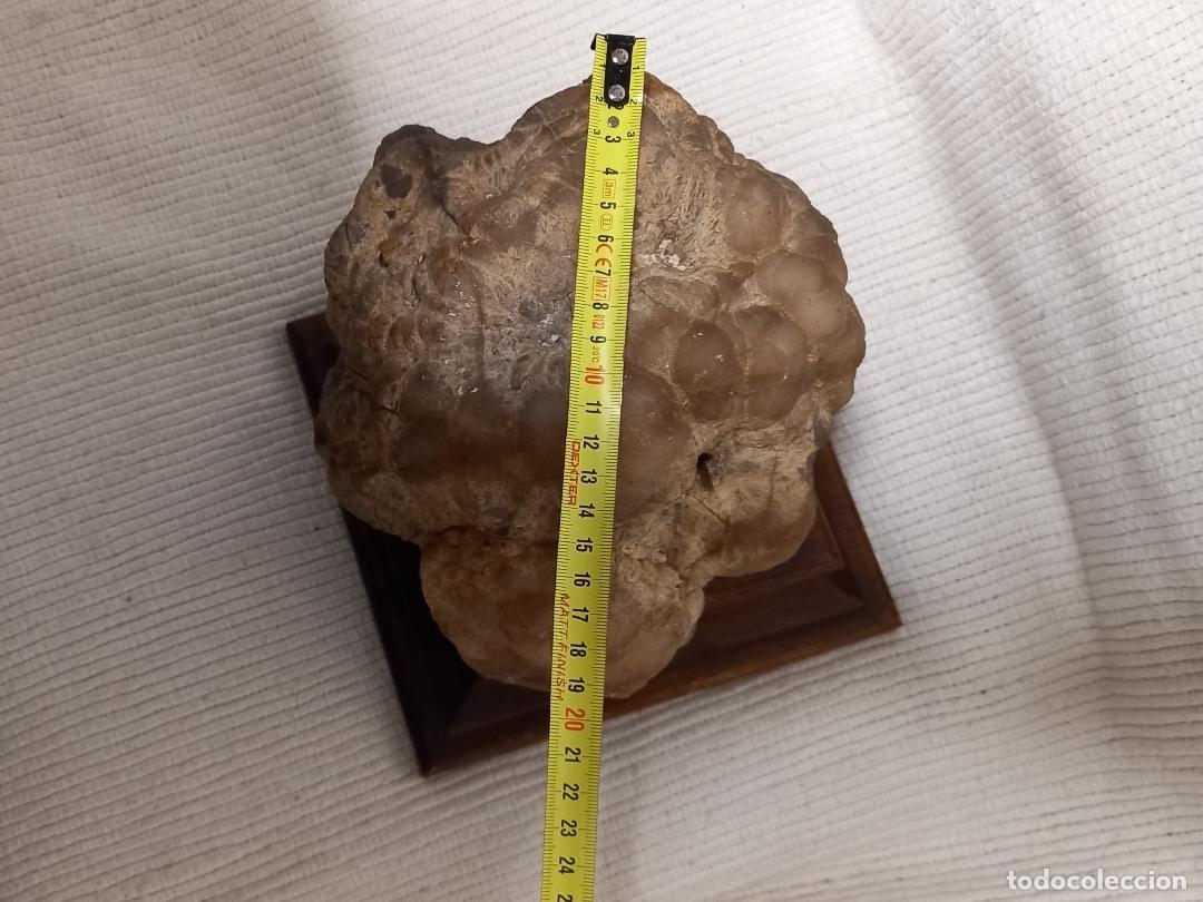 Coleccionismo de minerales: Geoda hueca excepcional - Foto 7