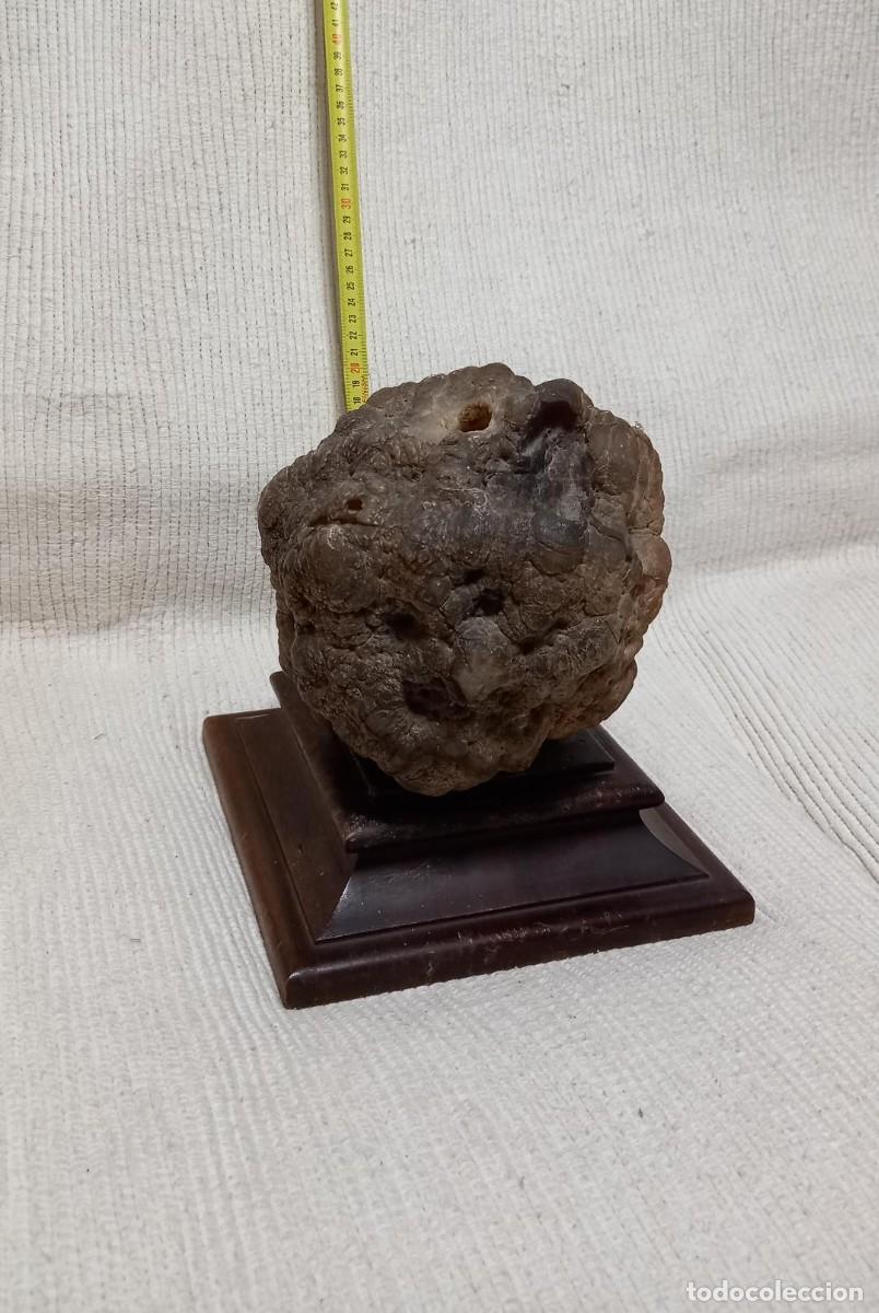 Coleccionismo de minerales: Geoda hueca excepcional - Foto 8