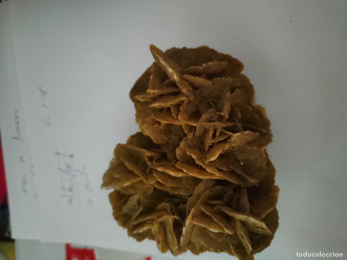 Coleccionismo de minerales: rosa del desierto - Foto 2