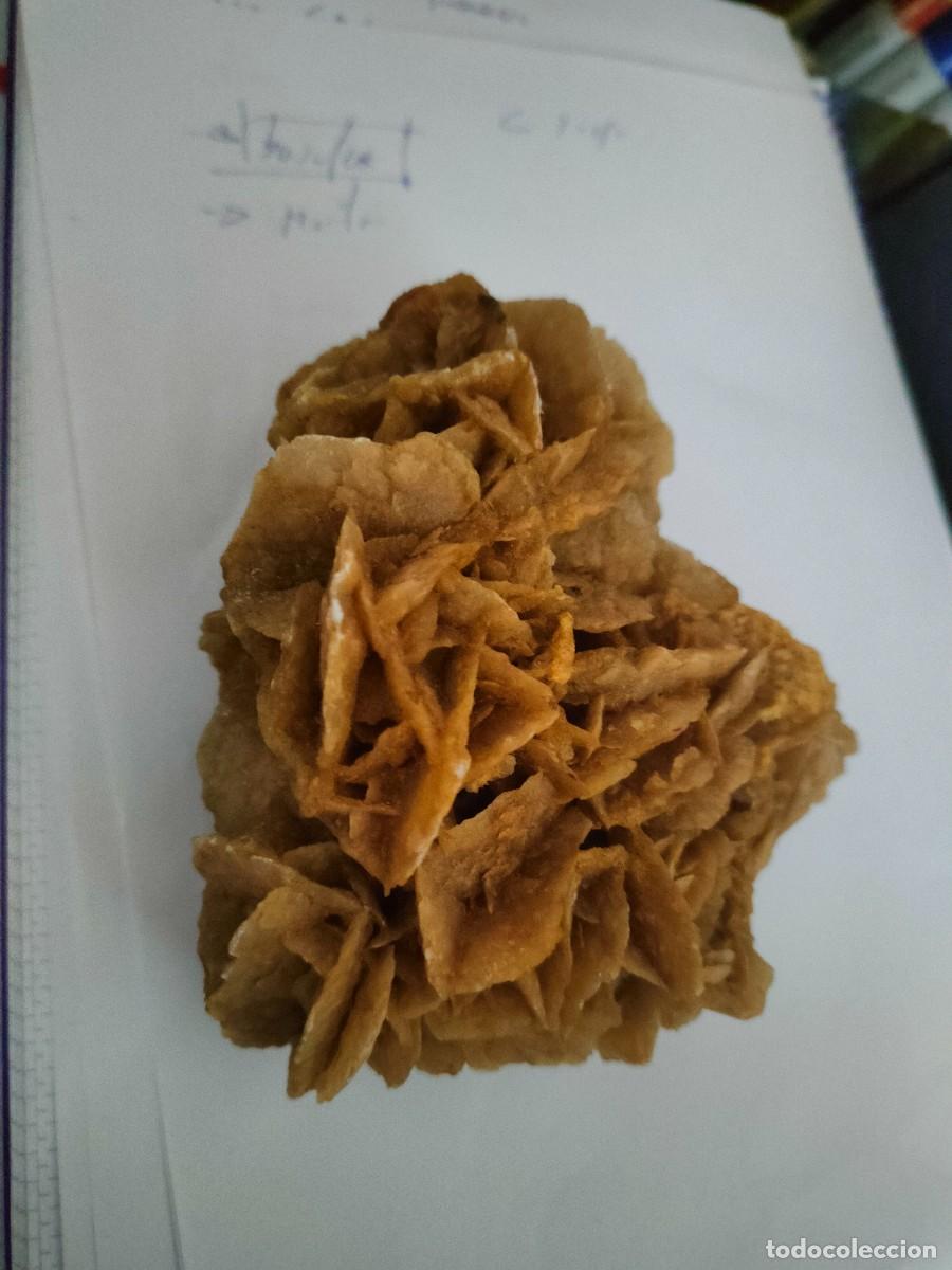 Coleccionismo de minerales: rosa del desierto - Foto 3