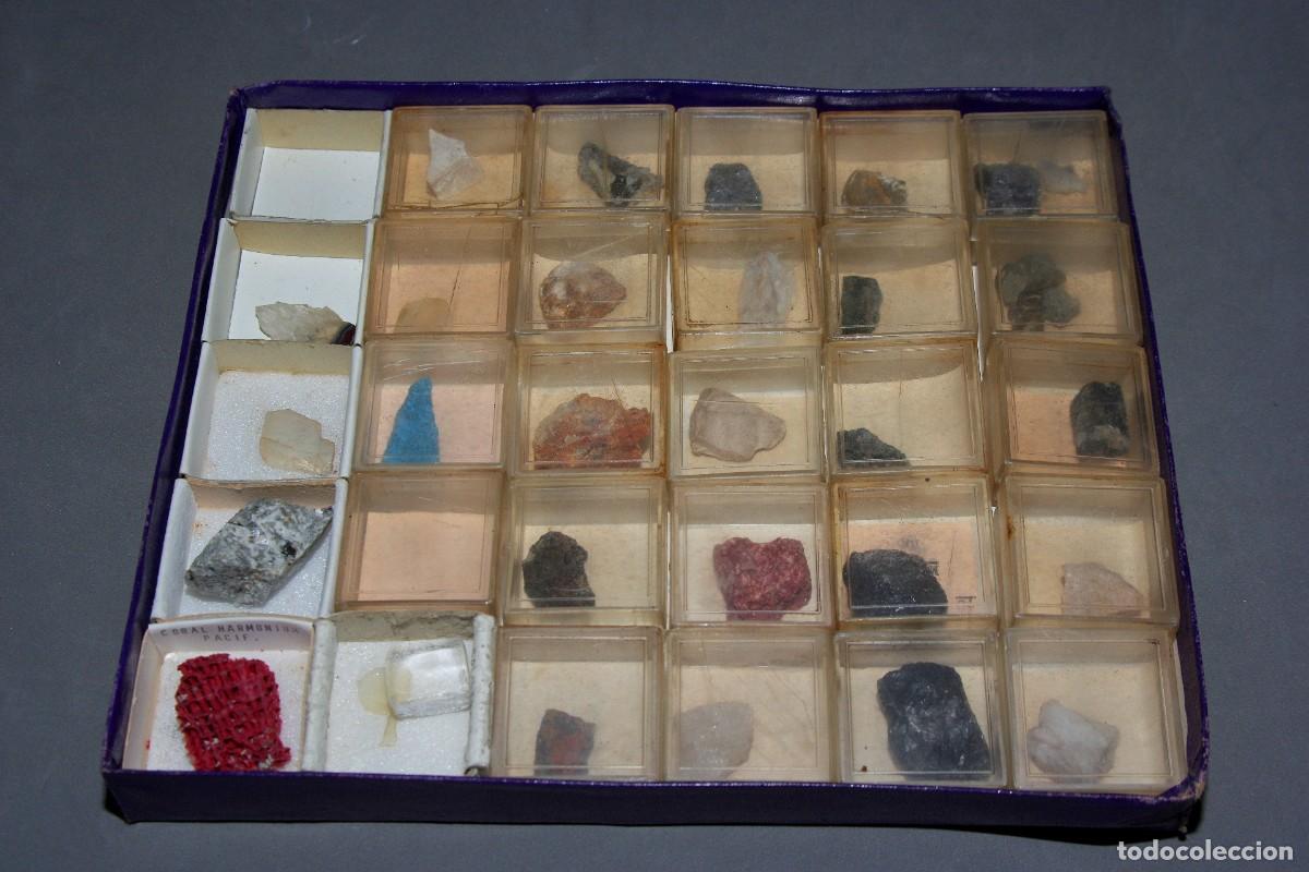 Colección de 30 Minerales del Mundo 2 en Caja de Madera Natural