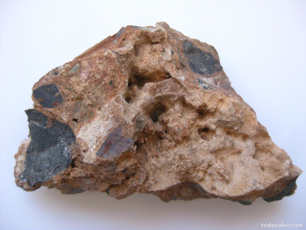 Coleccionismo de minerales: ROCA CONGLOMERADO DOLOMIA - Foto 2