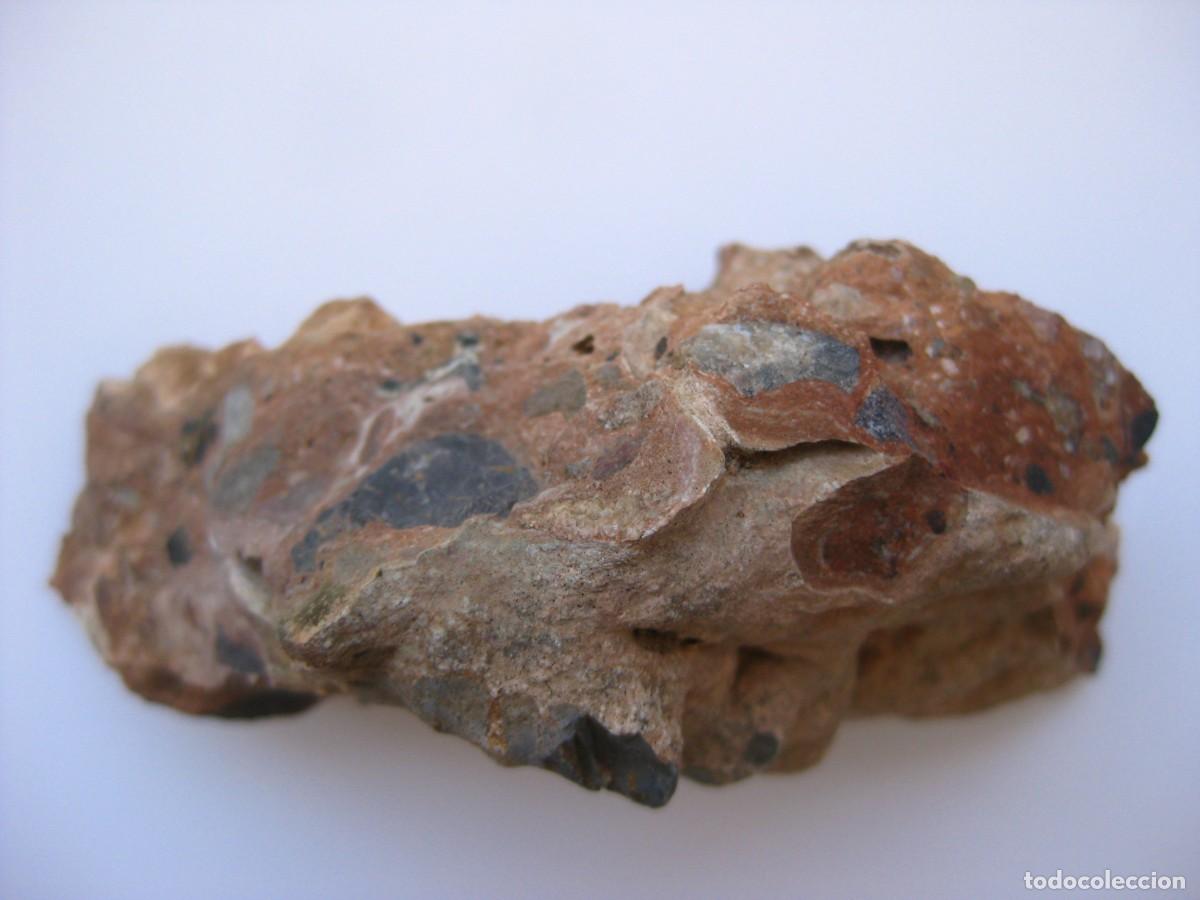 Coleccionismo de minerales: ROCA CONGLOMERADO DOLOMIA - Foto 3