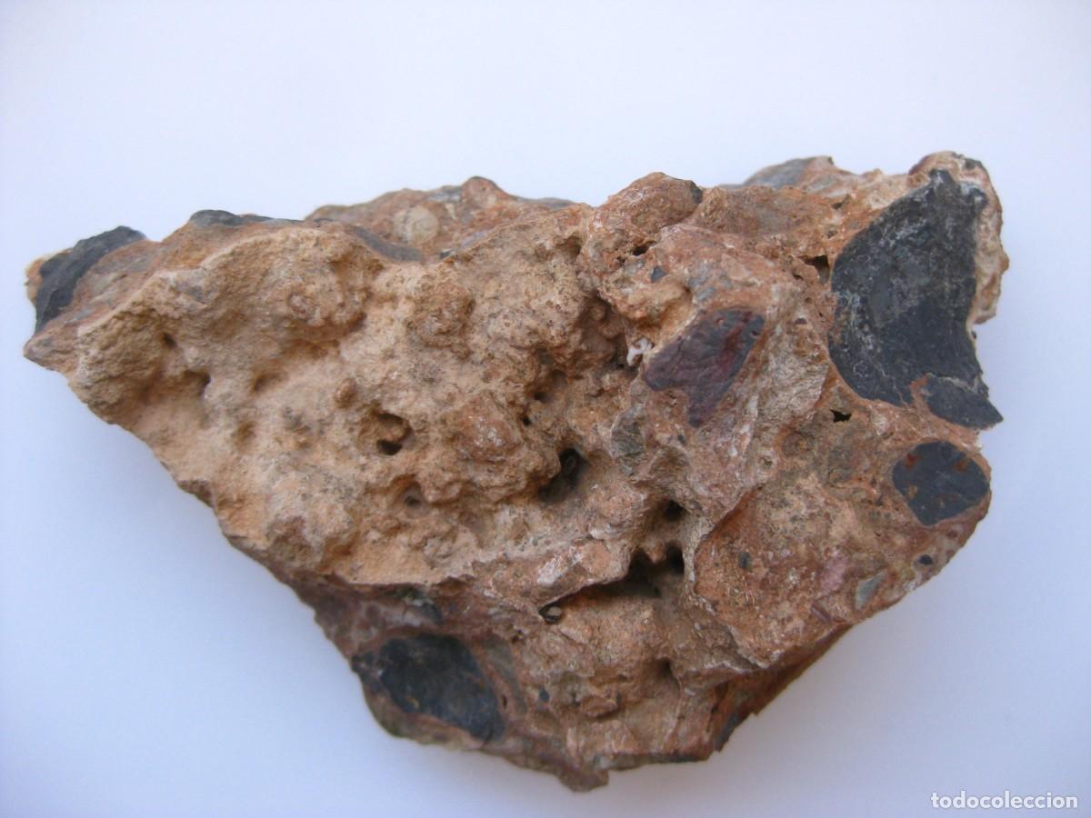 Coleccionismo de minerales: ROCA CONGLOMERADO DOLOMIA - Foto 4