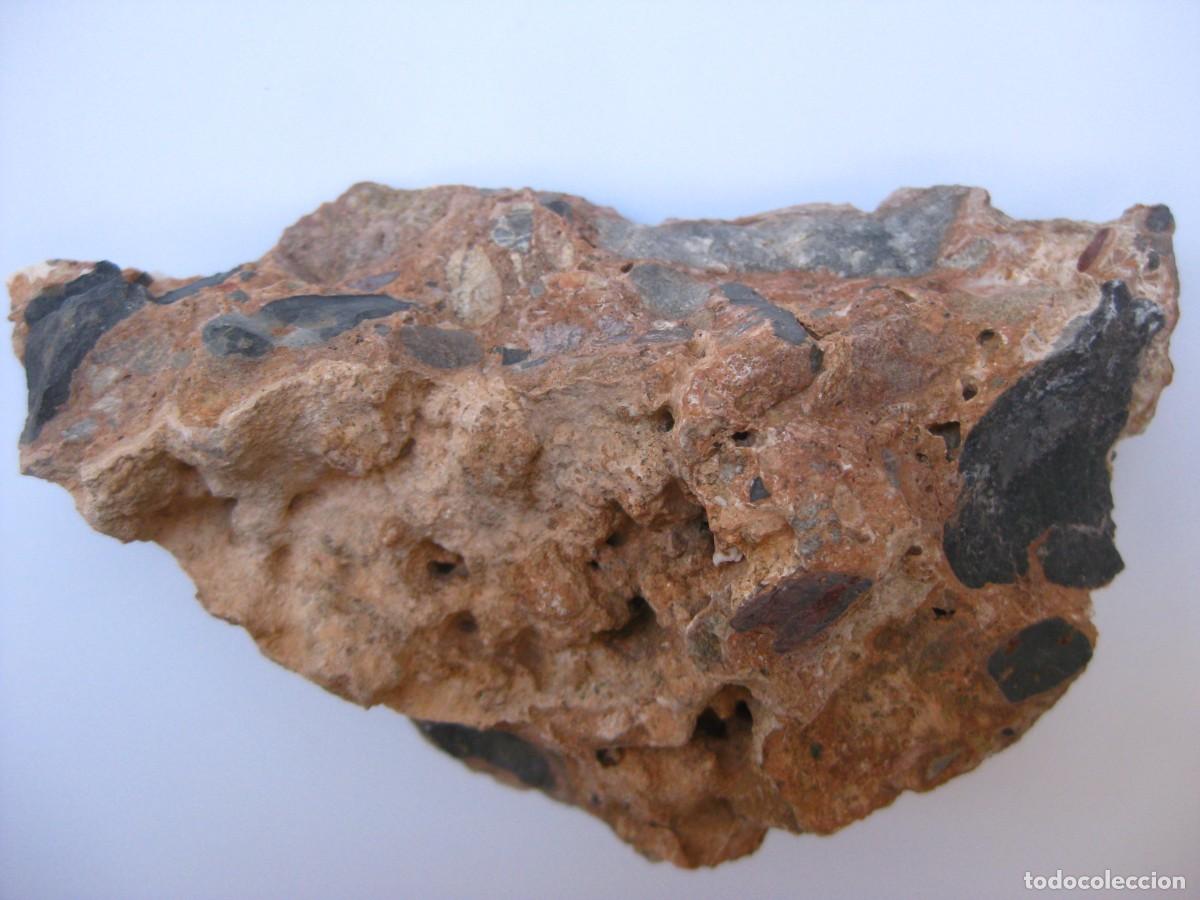 Coleccionismo de minerales: ROCA CONGLOMERADO DOLOMIA - Foto 5