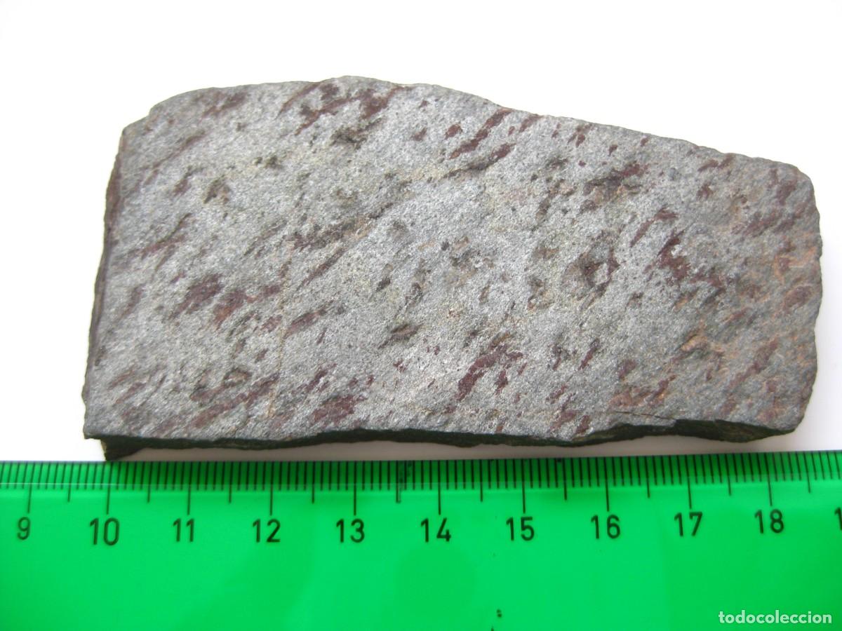 Coleccionismo de minerales: ROCA MICAESQUISTO MOTEADO - Foto 2