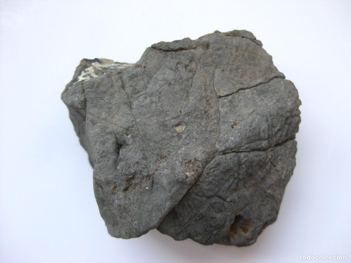 Coleccionismo de minerales: ROCA DOLOMIA - Foto 1