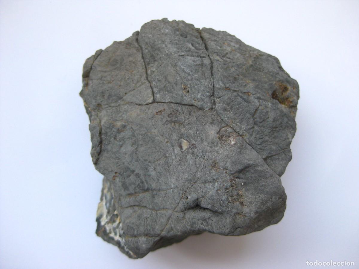 Coleccionismo de minerales: ROCA DOLOMIA - Foto 2