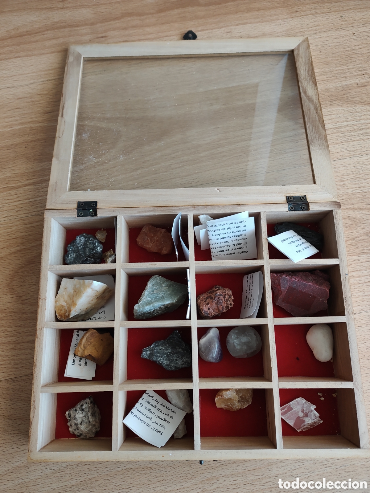 caja de madera con 16 minerales - Compra venta en todocoleccion