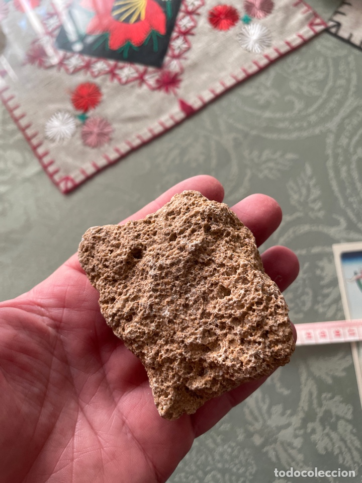 Coleccionismo de minerales: Roca sedimentaria CARNIOLA - Foto 2