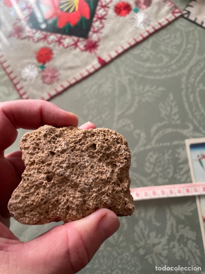 Coleccionismo de minerales: Roca sedimentaria CARNIOLA - Foto 3