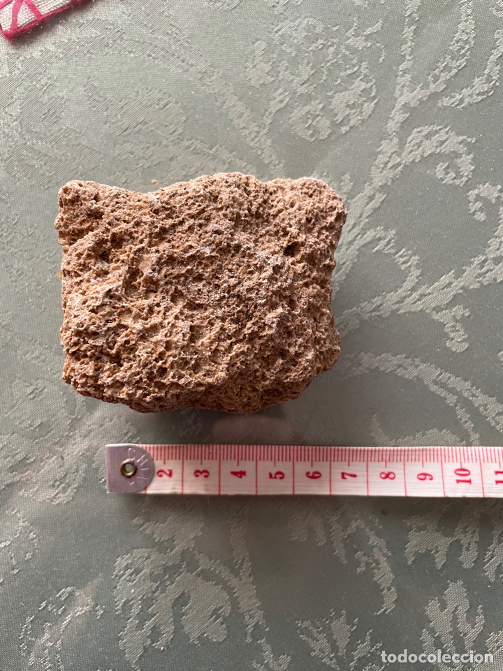 Coleccionismo de minerales: Roca sedimentaria CARNIOLA - Foto 1