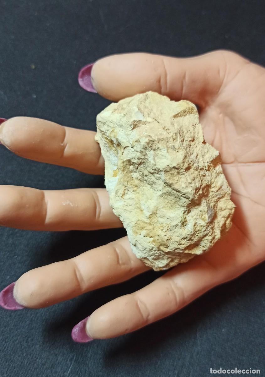 Coleccionismo de minerales: Mineral N&ordm;101 - Foto 5