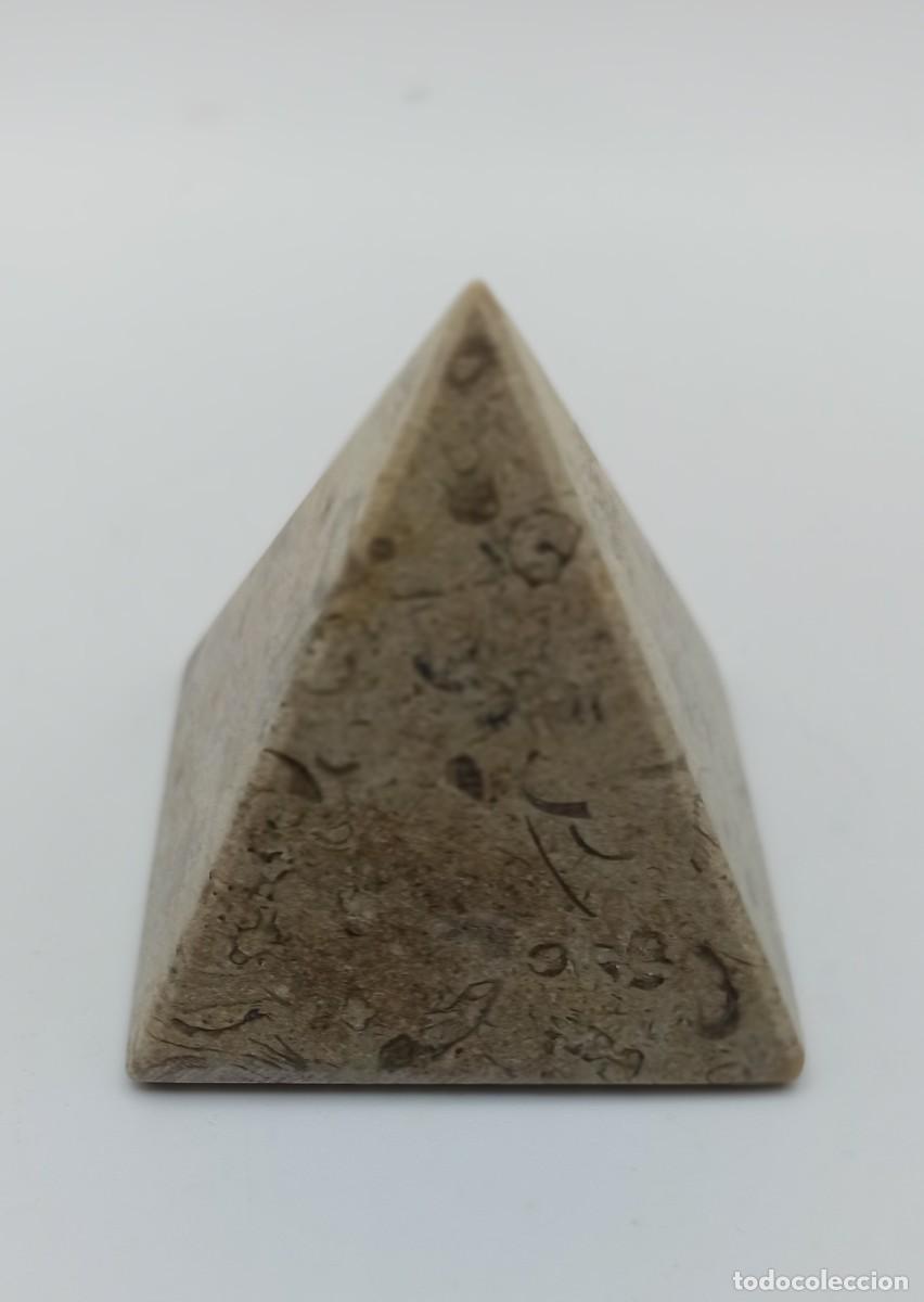 Coleccionismo de minerales: Pir&aacute;mide de Fosiles - Foto 1