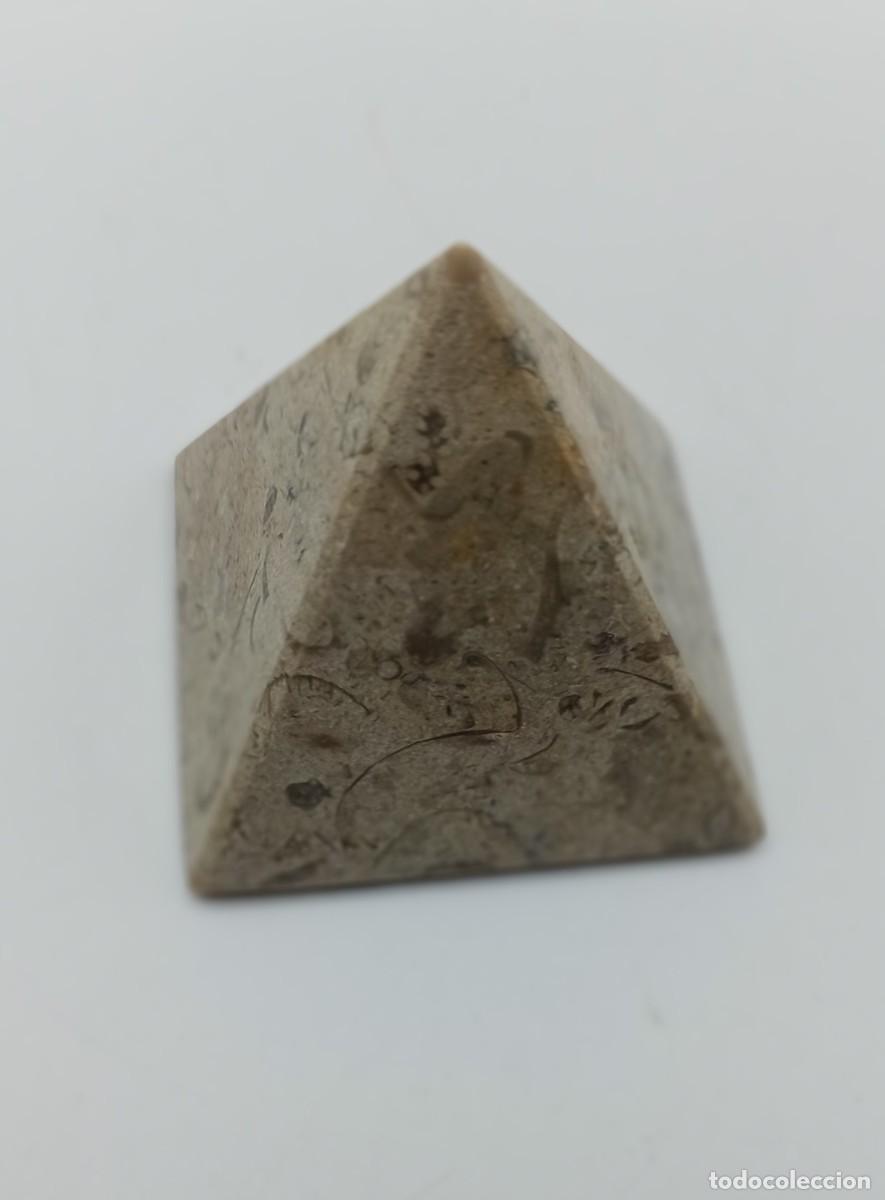 Coleccionismo de minerales: Pir&aacute;mide de Fosiles - Foto 2