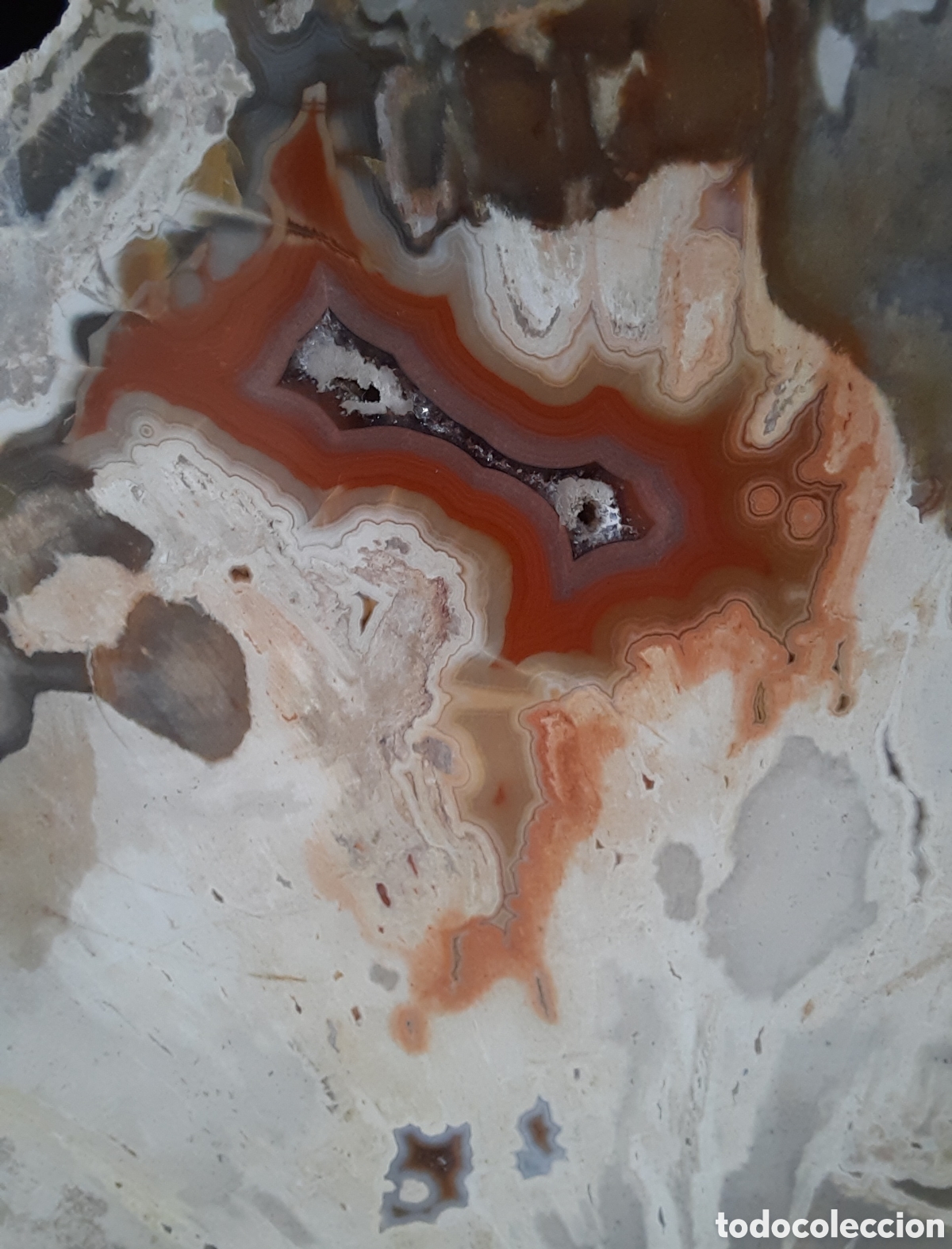 Coleccionismo de minerales: Madera Petrificada 560gr - Foto 2