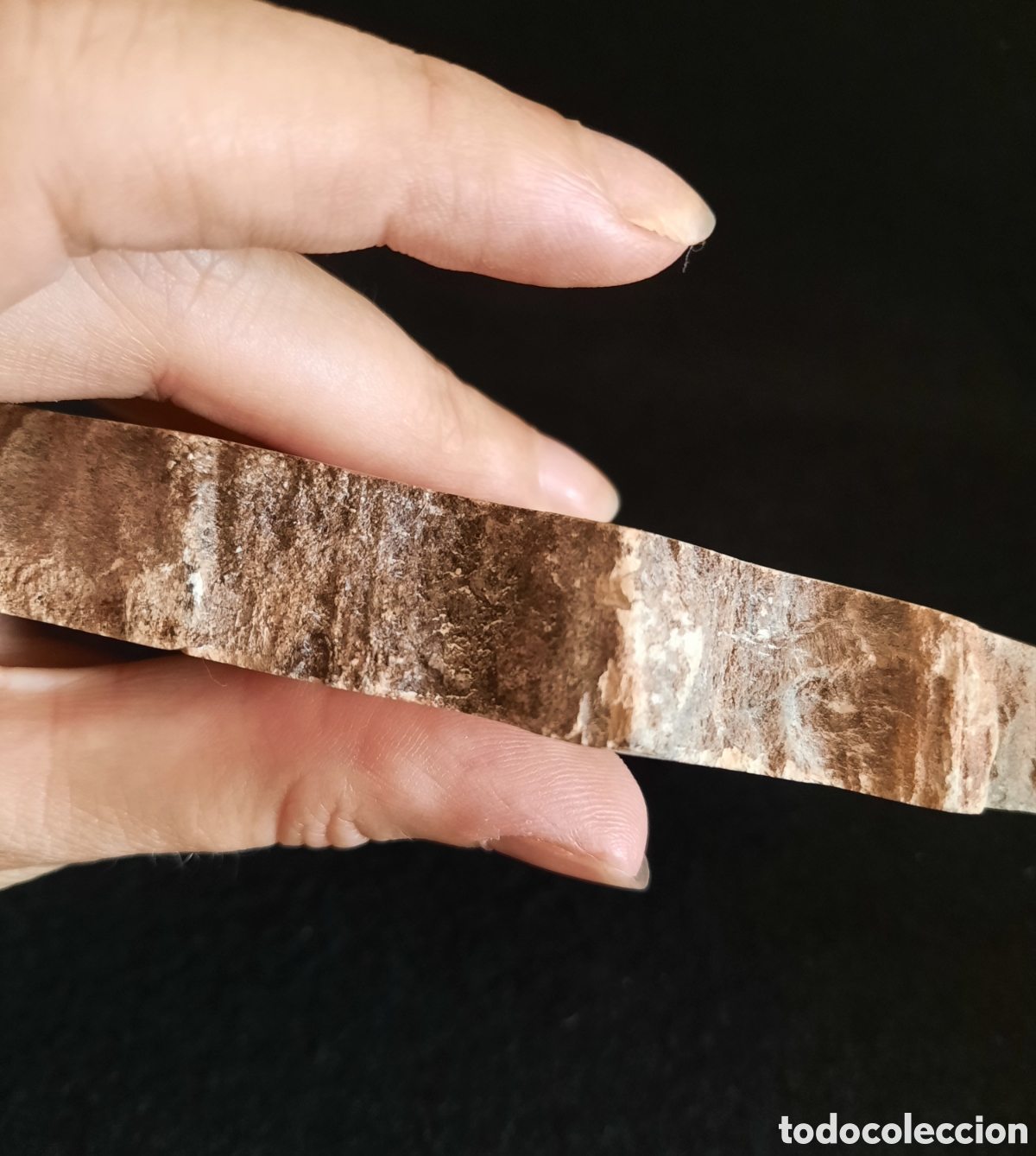 Coleccionismo de minerales: Madera Petrificada 560gr - Foto 5