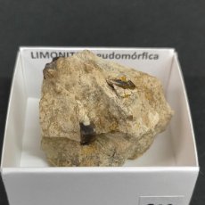 Coleccionismo de minerales: LIMONITA PSEUDOMORFICA DE PIRITA- 4X4