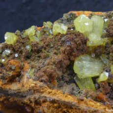 Coleccionismo de minerales: ADAMITA, MINA LA OJUELA, MÉXICO
