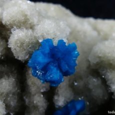 Coleccionismo de minerales: CAVANSITA, WAGHOLI, INDIA