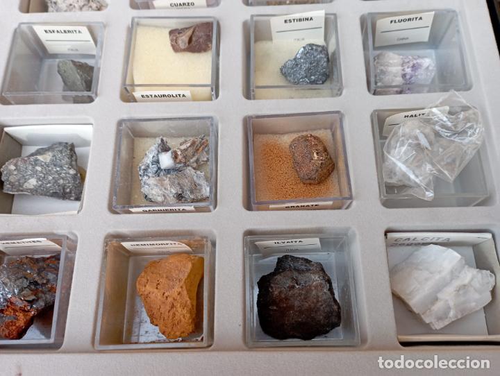 Colección de 20 Minerales del Mundo – Colecciones de Minerales