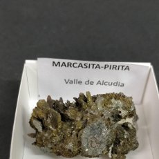 Collezionismo di minerali: MARCASITA Y PIRITA - MINERAL. 4X4