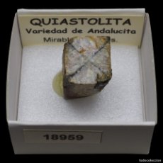Collezionismo di minerali: QUIASTOLITA (MIRABEL, CACERES, ESPAÑA) #18959