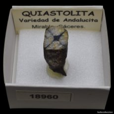 Collezionismo di minerali: QUIASTOLITA (MIRABEL, CACERES, ESPAÑA) #18960