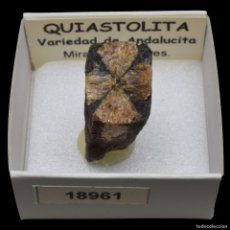Collezionismo di minerali: QUIASTOLITA (MIRABEL, CACERES, ESPAÑA) #18961