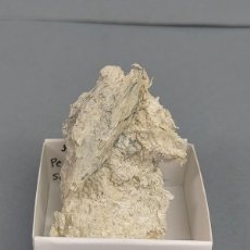 Collezionismo di minerali: SEPIOLITA - MINERAL 4X4