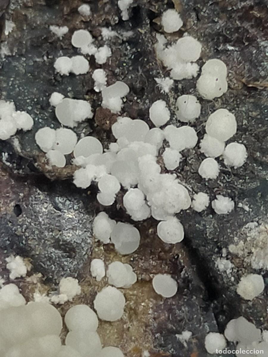 Coleccionismo de minerales: FLUORAPATITO - MINERAL. - Foto 2