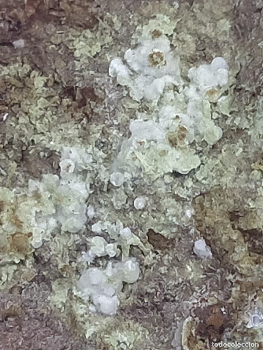 Coleccionismo de minerales: FLUORAPATITO - MINERAL. - Foto 5