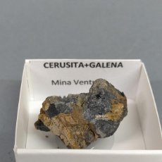Collezionismo di minerali: CERUSITA CON GALENA - MINERAL. 4X4 CM
