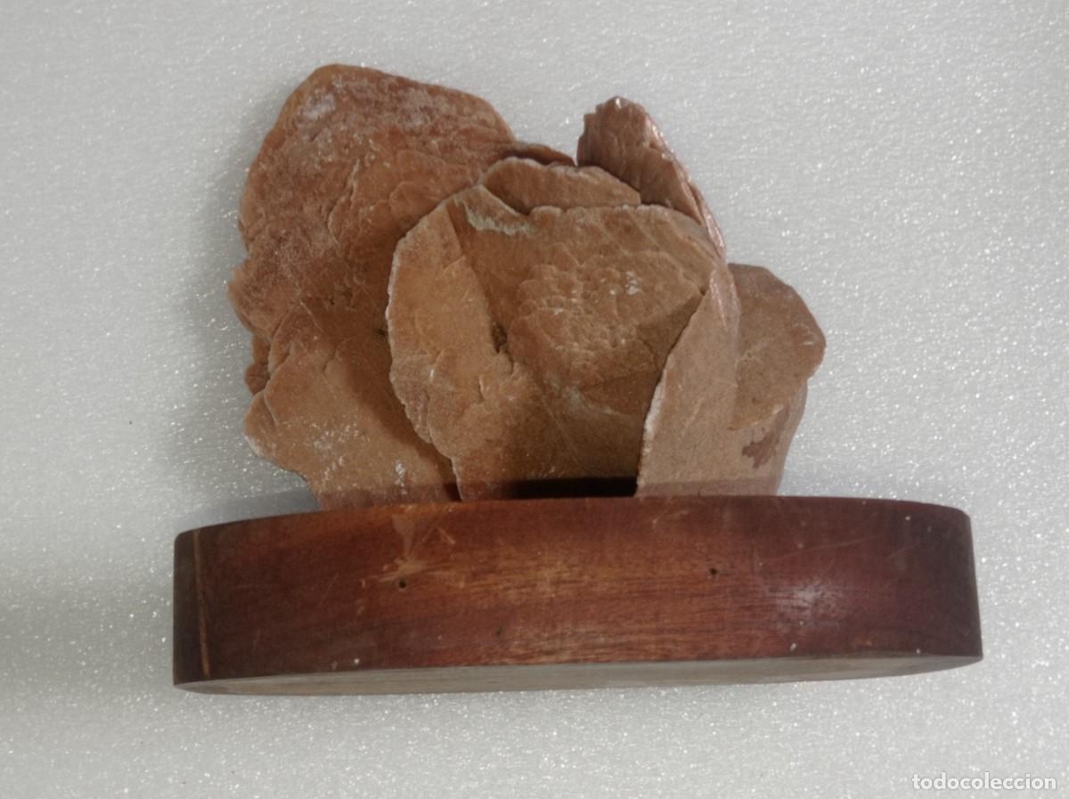 Coleccionismo de minerales: Rosa del desierto - Foto 1