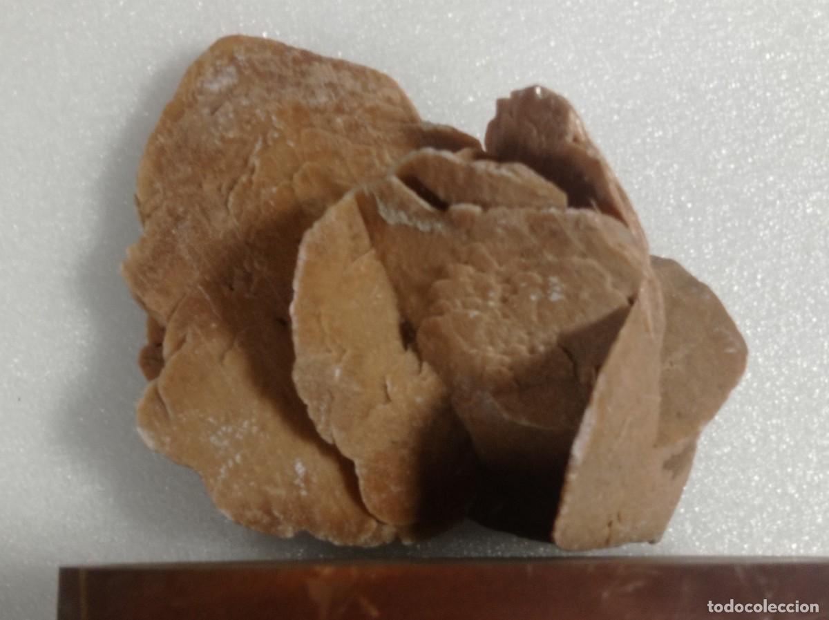 Coleccionismo de minerales: Rosa del desierto - Foto 3
