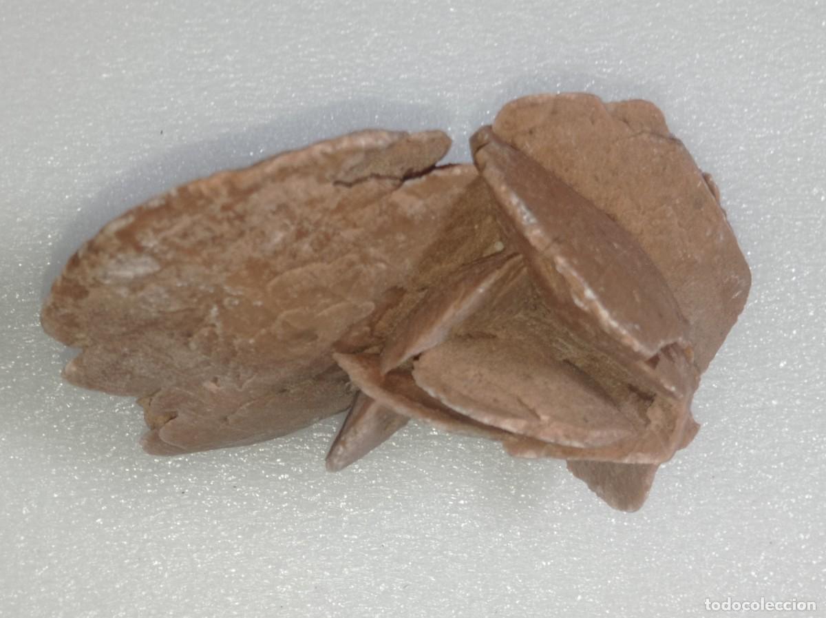 Coleccionismo de minerales: Rosa del desierto - Foto 5