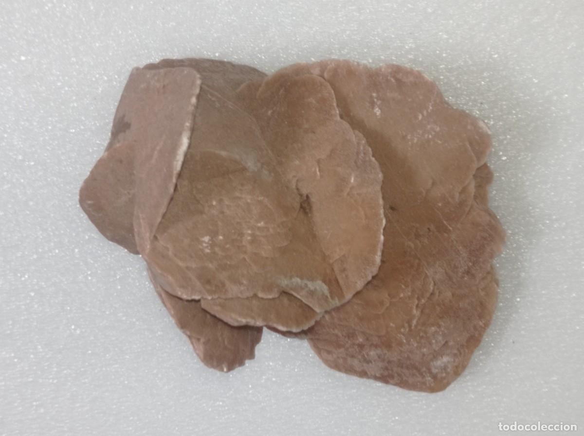 Coleccionismo de minerales: Rosa del desierto - Foto 6