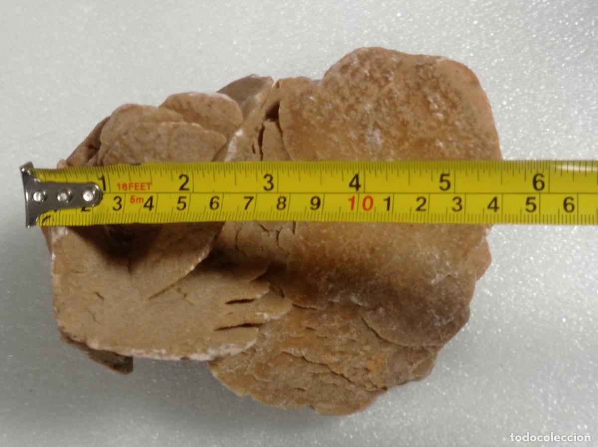 Coleccionismo de minerales: Rosa del desierto - Foto 7