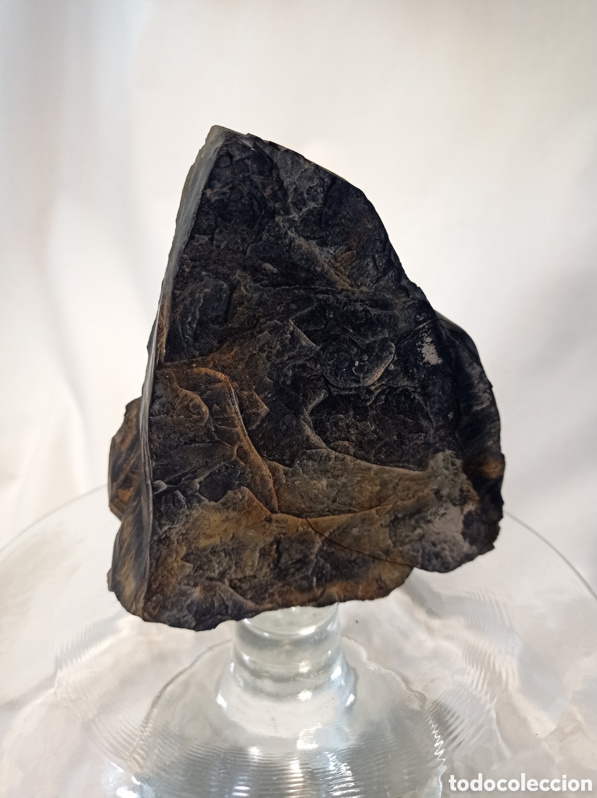 Coleccionismo de minerales: GRAN AZABACHE EN BRUTO 325 G - Foto 7