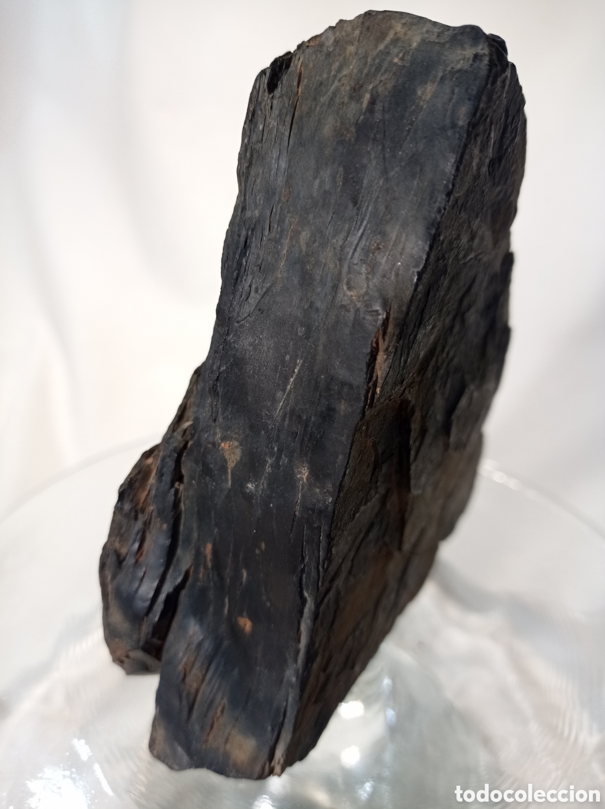 Coleccionismo de minerales: GRAN AZABACHE EN BRUTO 325 G - Foto 8