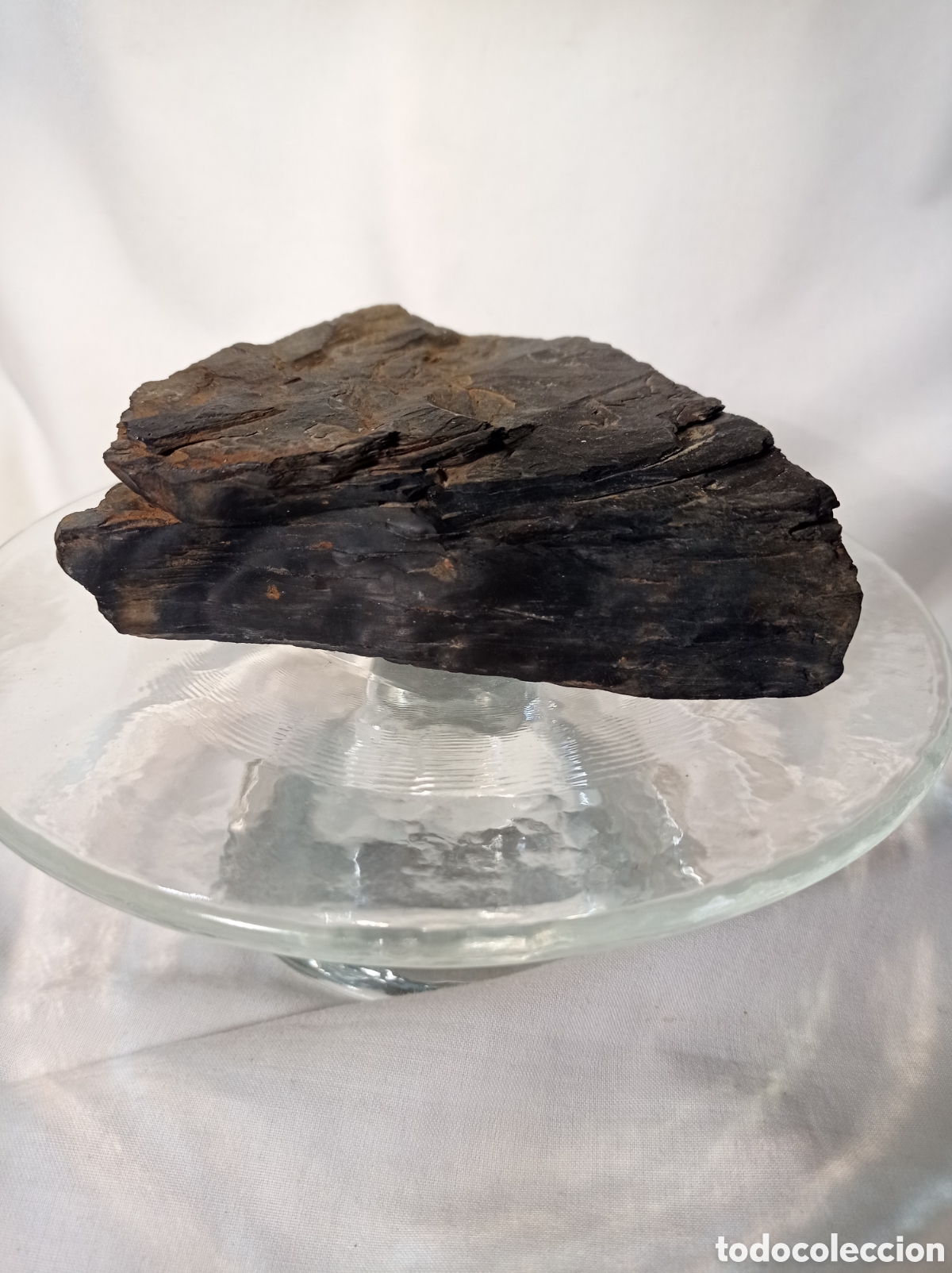 Coleccionismo de minerales: GRAN AZABACHE EN BRUTO 325 G - Foto 1
