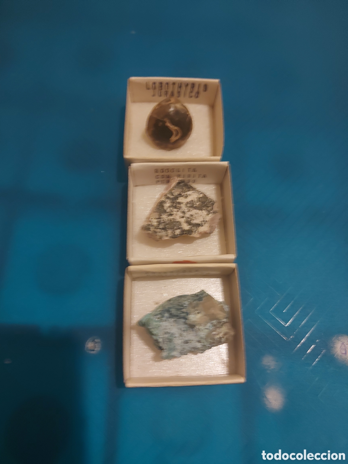 Coleccionismo de minerales: 1peru1Jurasico1Navimia - Foto 2