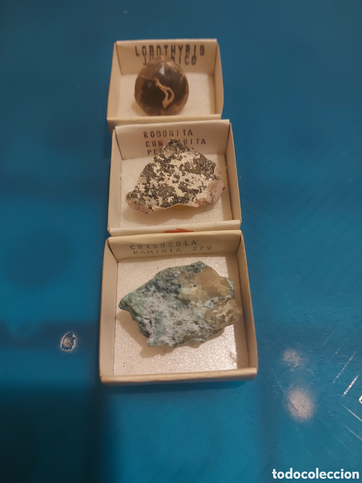 Coleccionismo de minerales: 1peru1Jurasico1Navimia - Foto 3