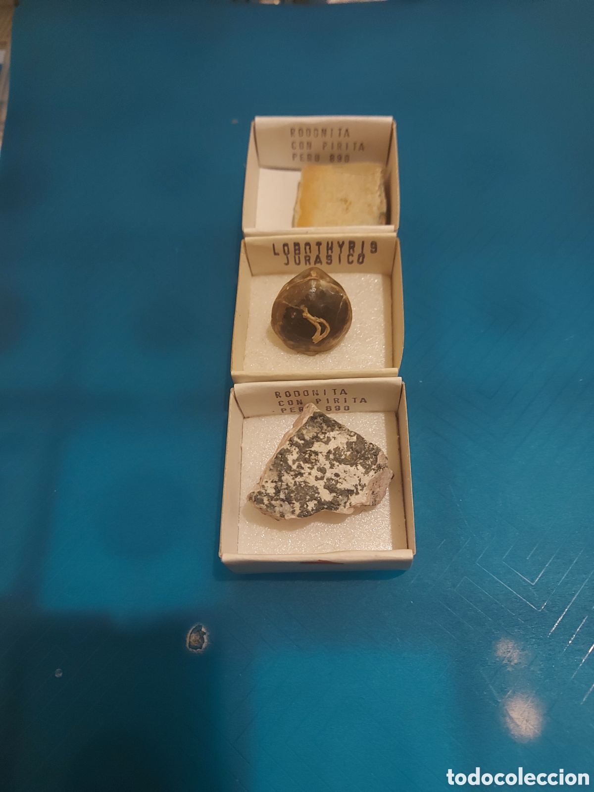 Coleccionismo de minerales: 1peru1Jurasico1Navimia - Foto 1