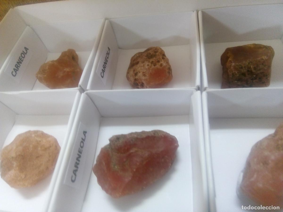 Coleccionismo de minerales: CARNEOLA 6 - Foto 2