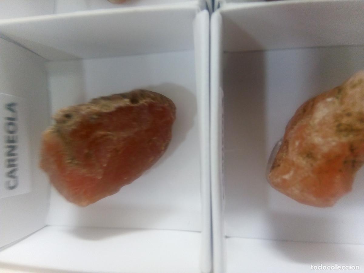 Coleccionismo de minerales: CARNEOLA 6 - Foto 3