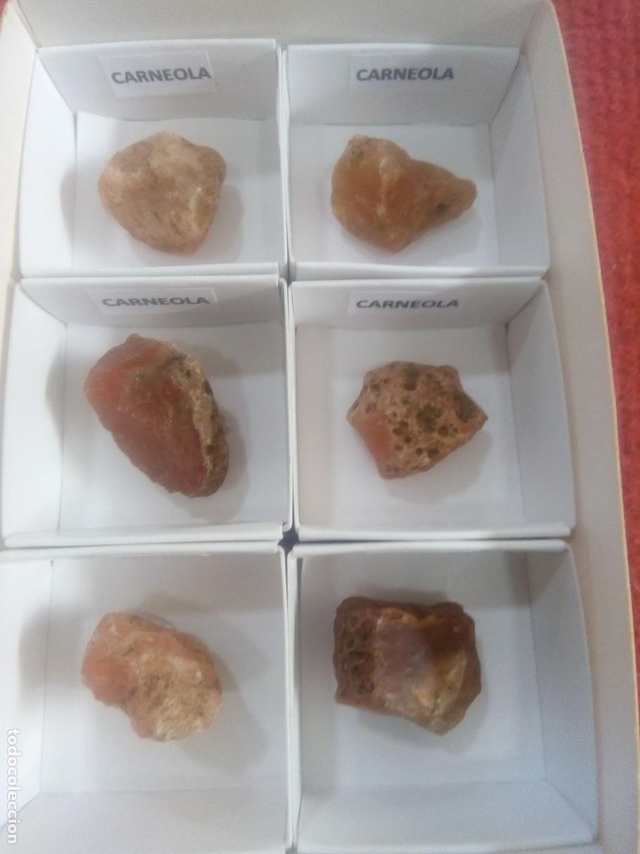 Coleccionismo de minerales: CARNEOLA 6 - Foto 1
