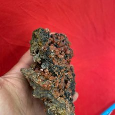Coleccionismo de minerales: PRECIOSA MATRIZ CON CRISTALES DE VANADINITA!700 GR